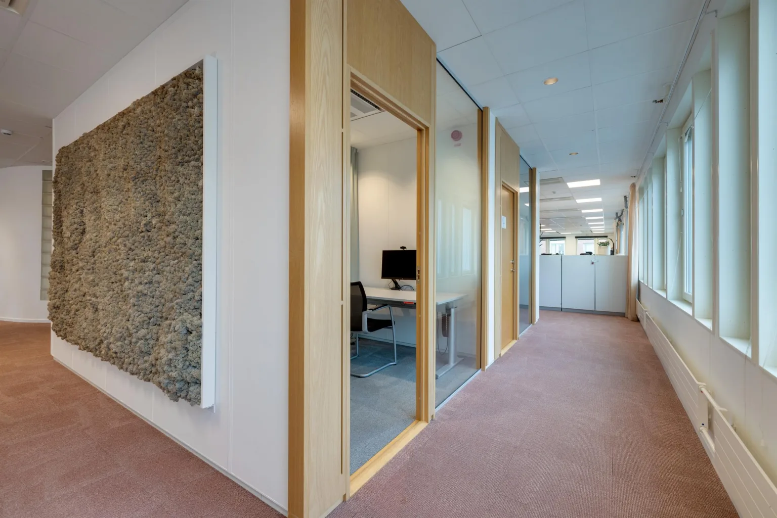 4. En korridor med glasväggar som visar kontorsrum inredda med skrivbord och datorskärmar.