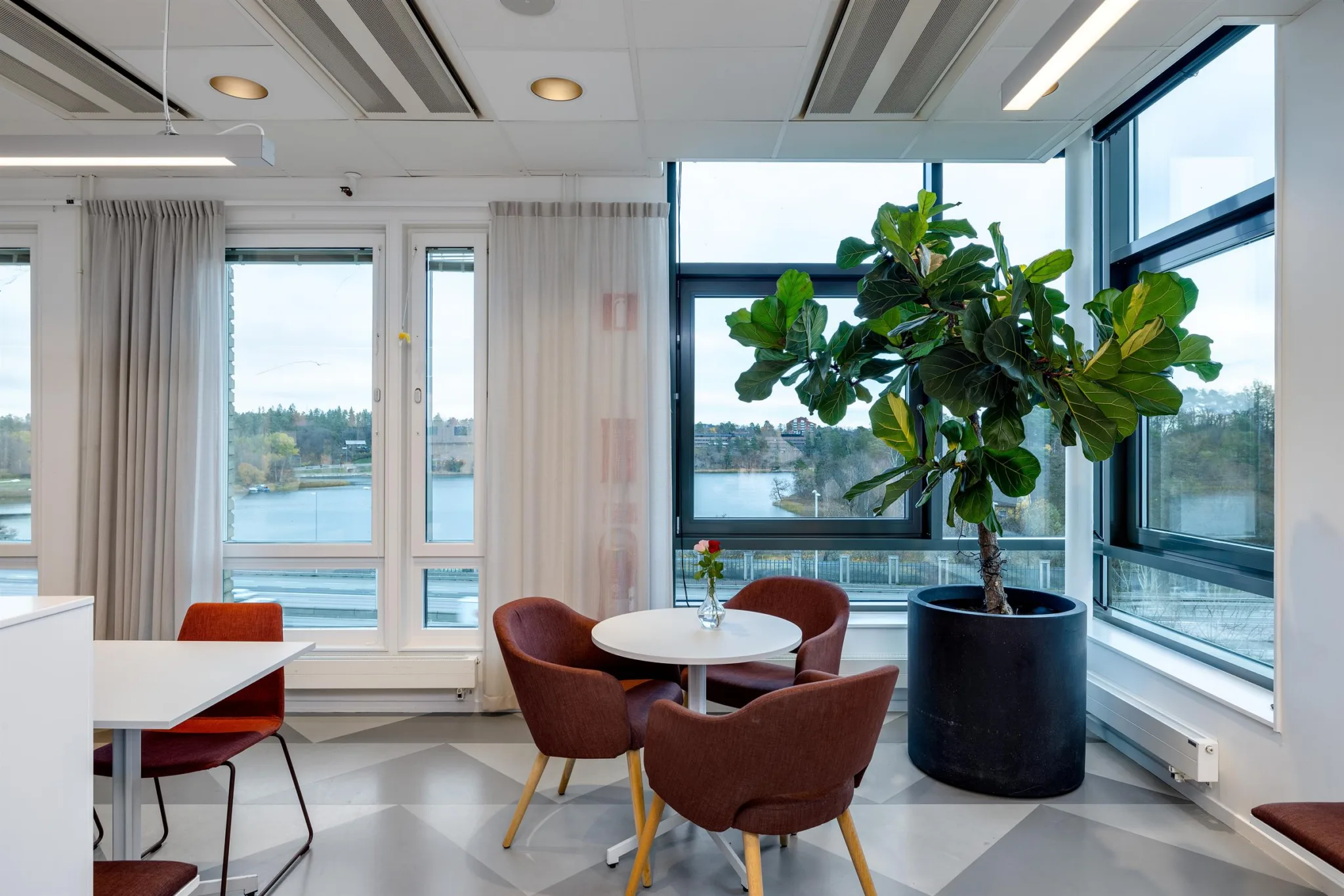 3. Ett ljust sittområde med ett runt bord, bruna stolar och en stor grön växt bredvid fönster med utsikt över vatten.