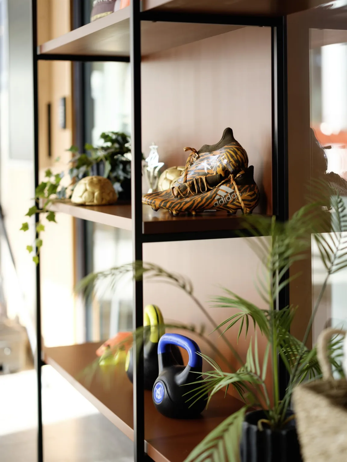 5. En närbild av en hylla med växter, en kettlebell och dekorativa föremål.