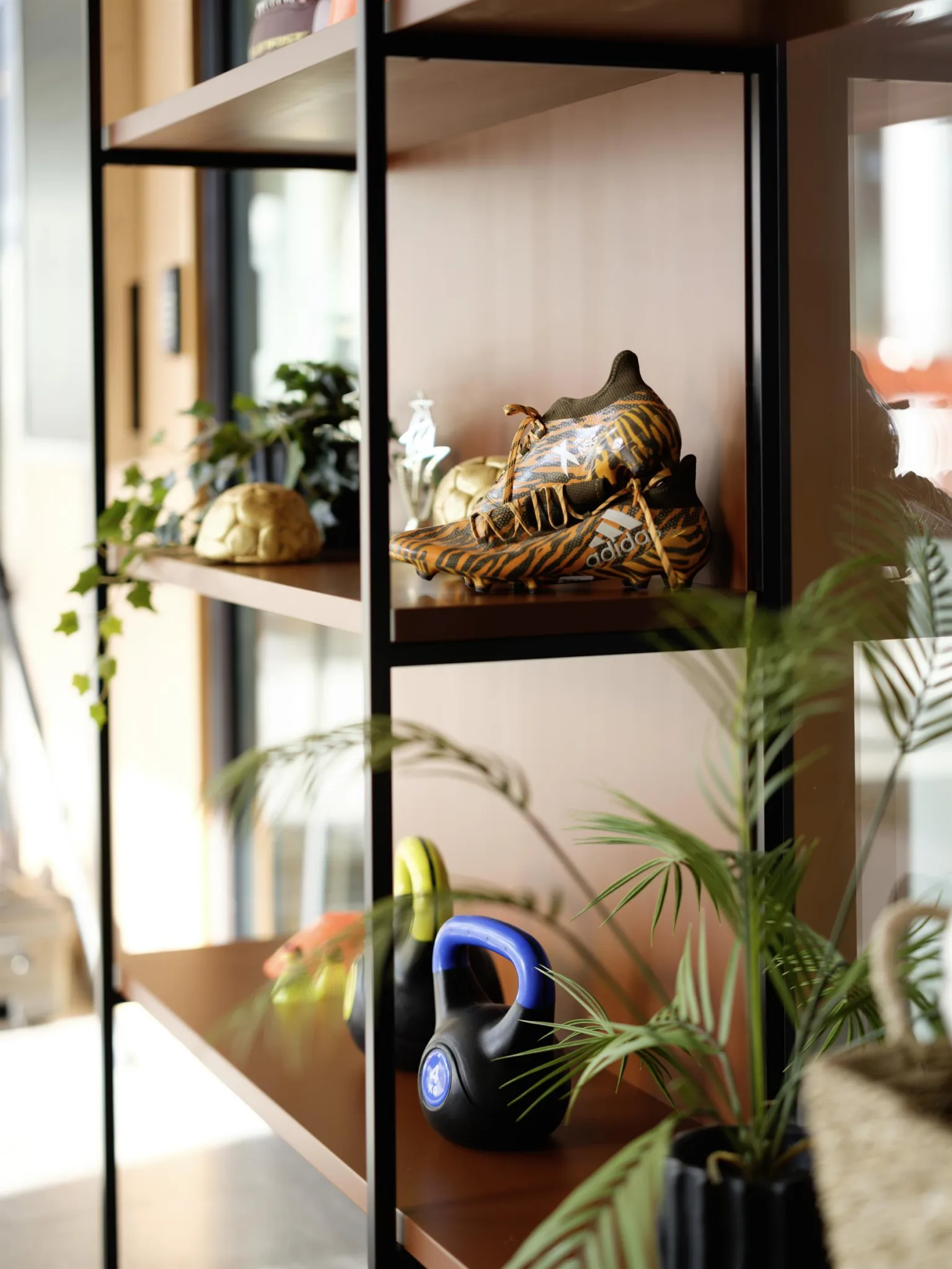 5. En närbild av en hylla med växter, en kettlebell och dekorativa föremål.