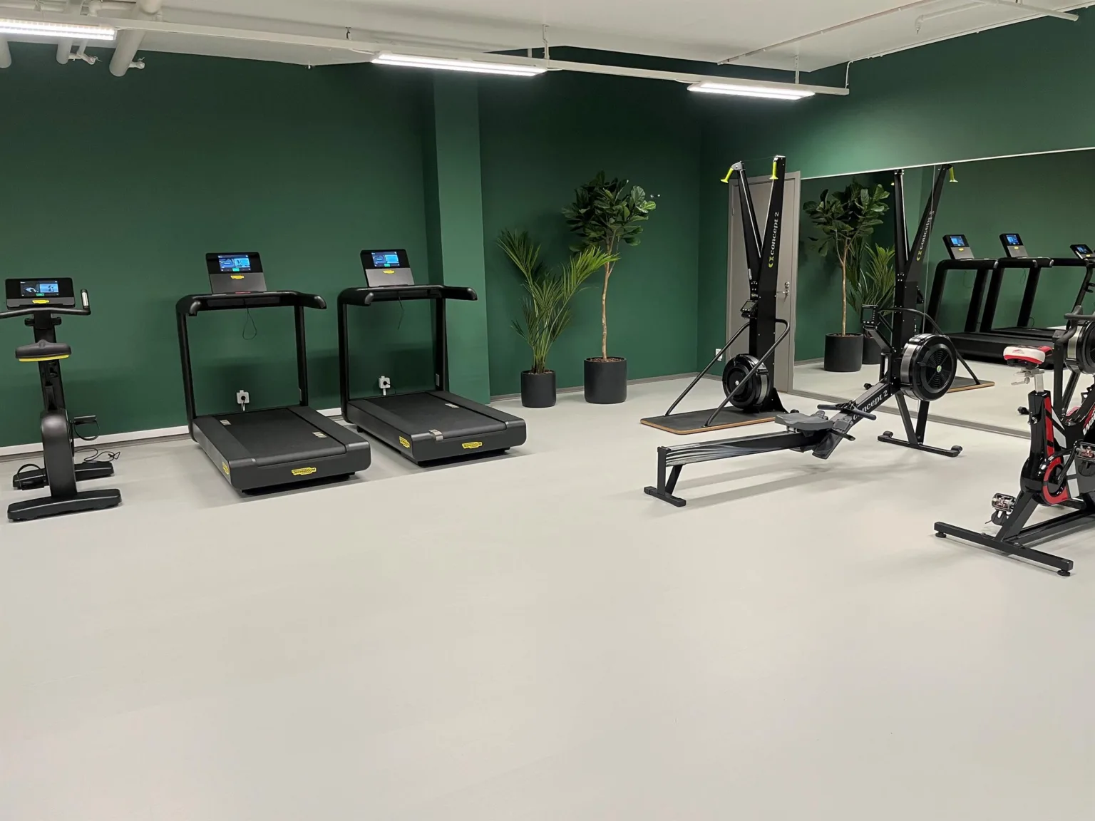 Ett gym med två löpband, en roddmaskin och gröna väggar med växter.