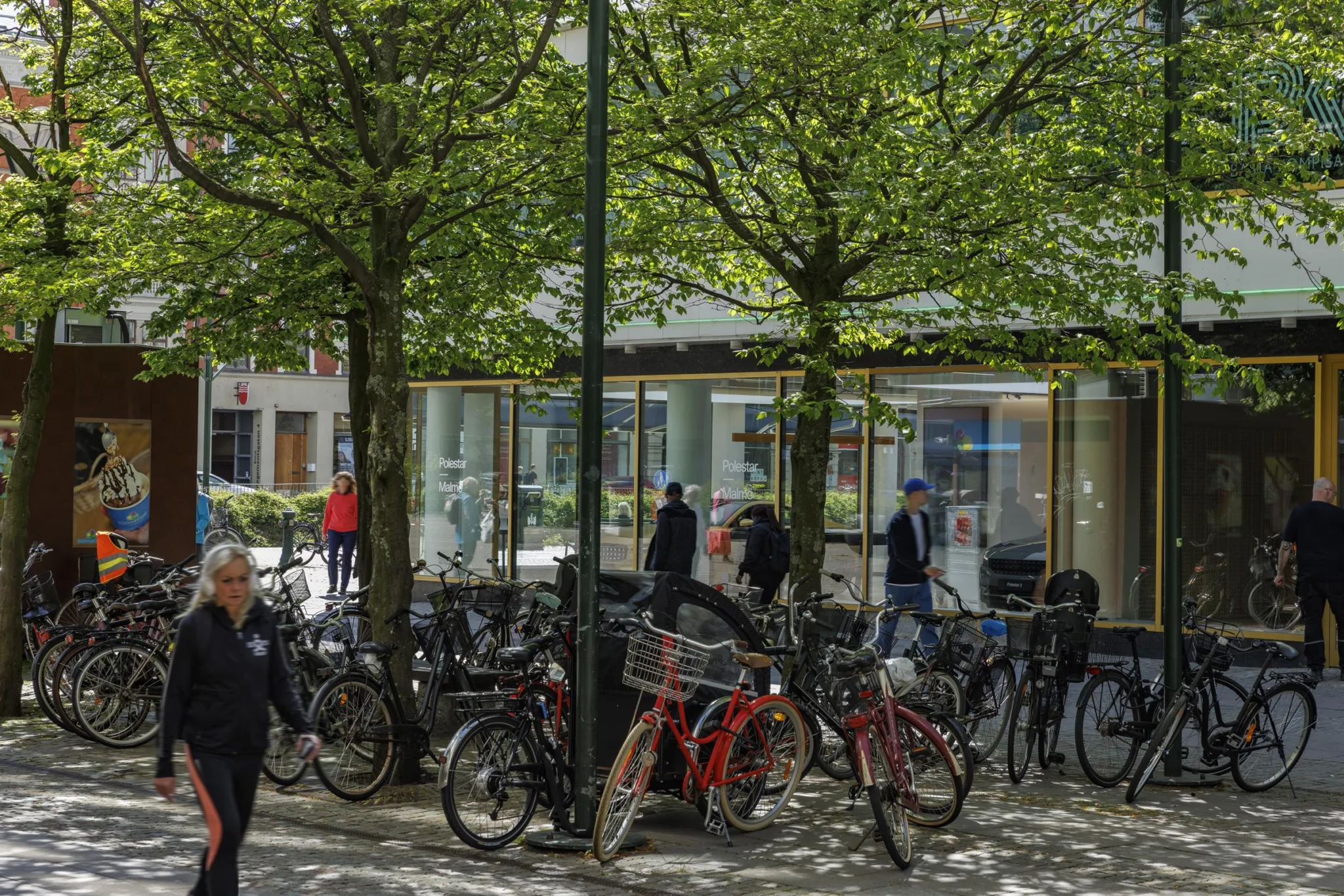 3. Cyklar parkerade under träd vid en trottoar medan människor går och står i bakgrunden.