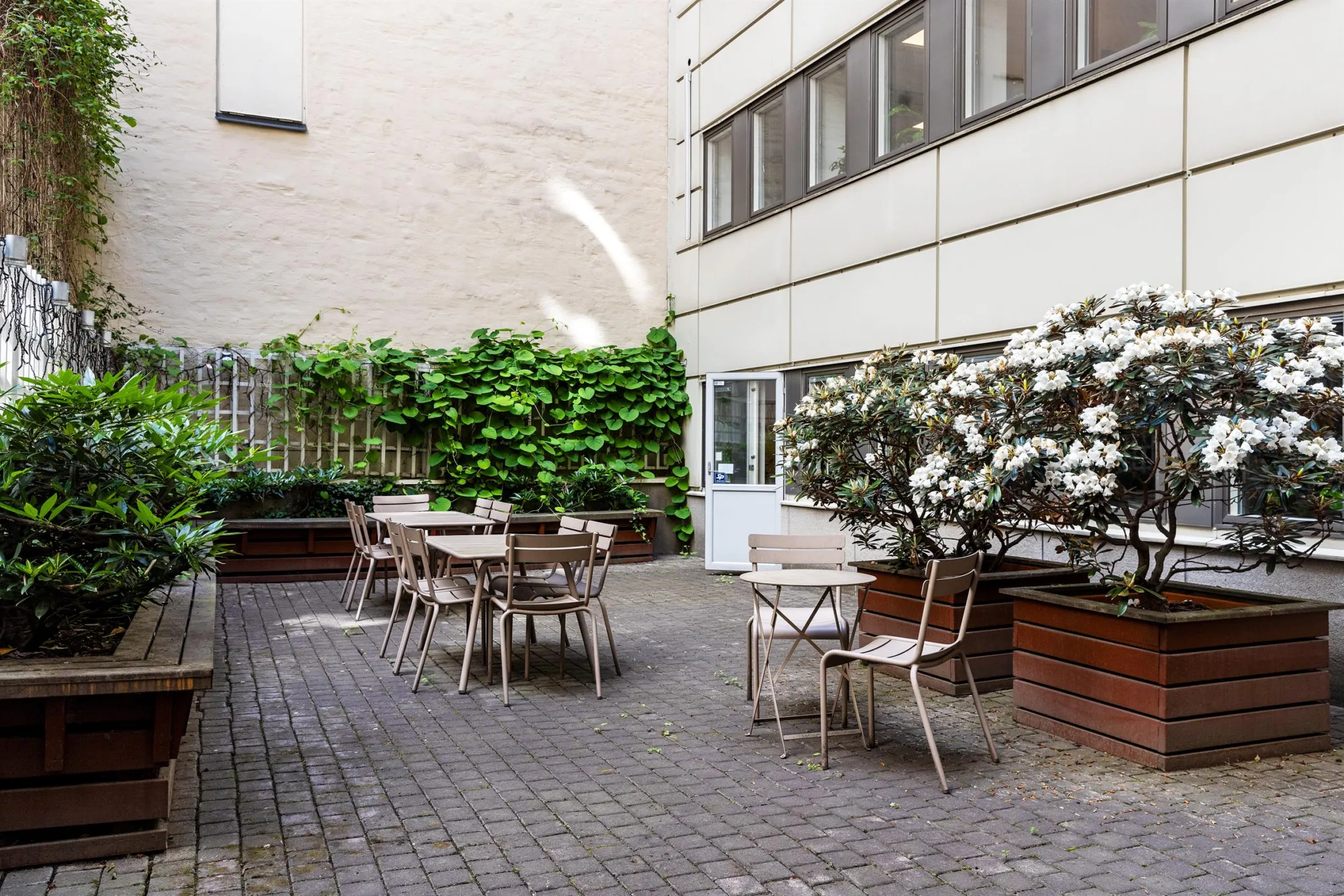 En utomhusgård med utemöbler, gröna växter och vita blommor vid en byggnadsvägg.