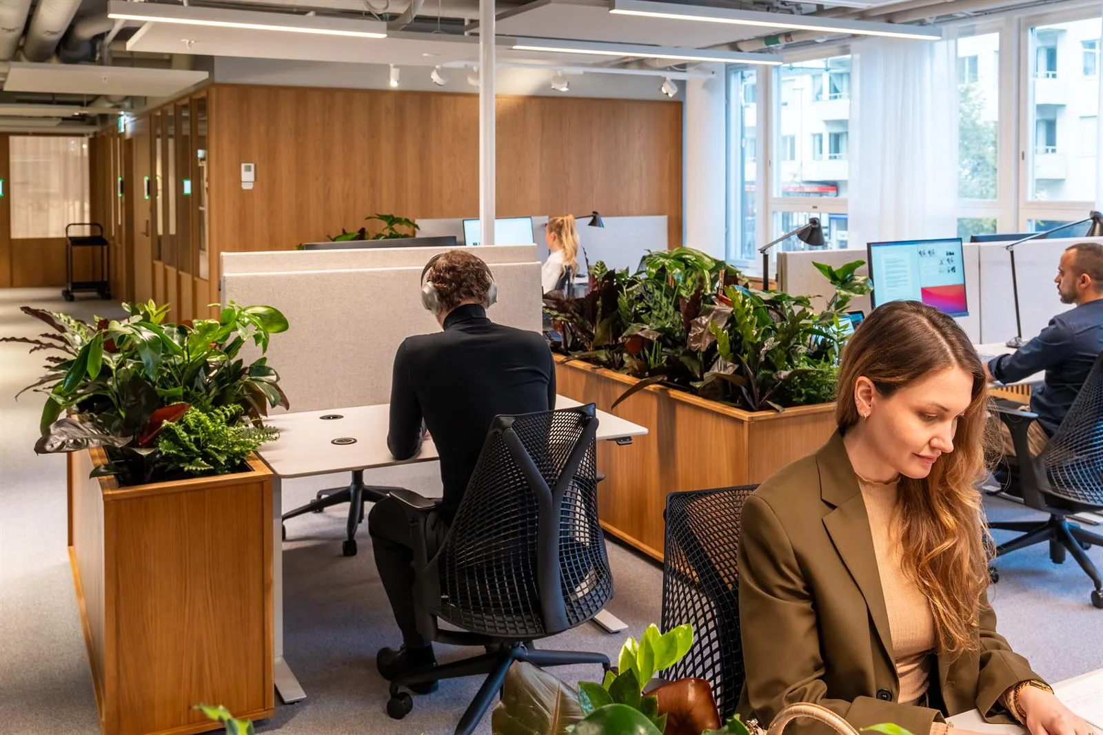 En kontorsmiljö med flera skrivbord, människor som arbetar och grönska mellan arbetsstationerna.